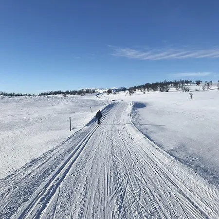 The Company - The Sweet Апарт-отель Осло