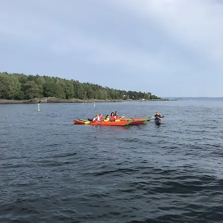 The Company - The Sweet