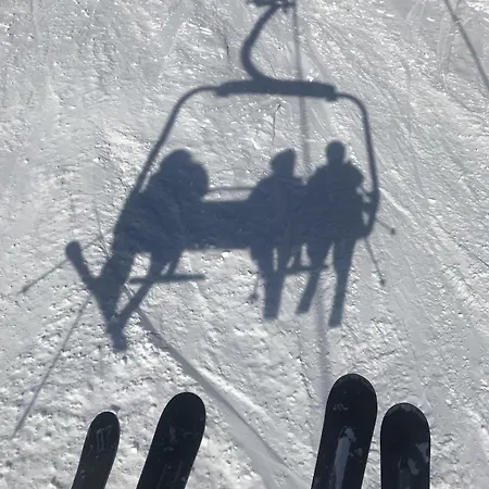 The Company - The Sweet