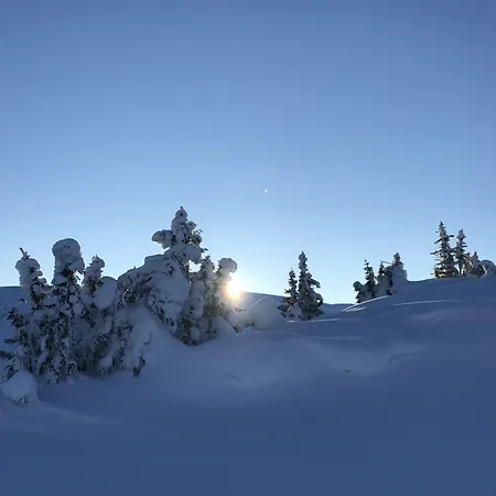 Apartahotel The Company - The Sweet 4*